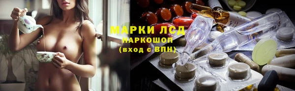 индика Семёнов