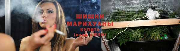 индика Семёнов