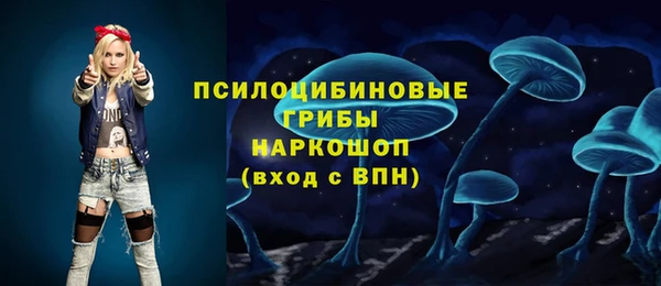 ECSTASY Богданович
