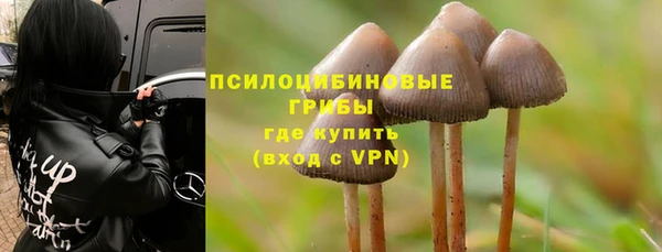 стафф Семилуки