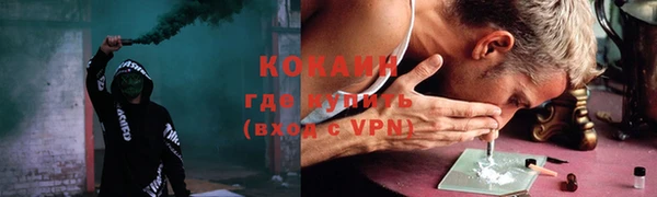 ECSTASY Богданович