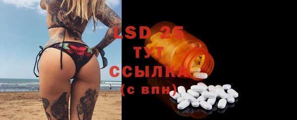 ECSTASY Богданович