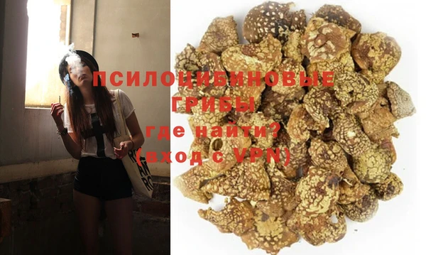 индика Семёнов