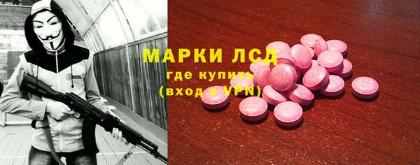 ECSTASY Богданович