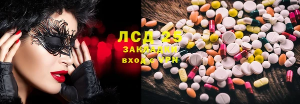 ECSTASY Богданович