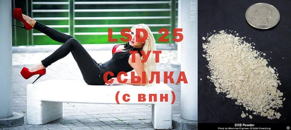 индика Семёнов